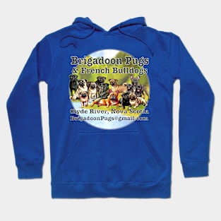 Brigadoon Pugs & French Bulldogs Hoodie